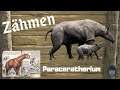 🦖ARK‬ Survival Evolved 🦖  Paraceratherium zähmen 2021 [/Taming/INFO/ GUIDE/Deutsch/Dinos zähmen]
