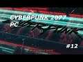 CYBERPUNK 2077 PC EPISODE 12 Mission avec panam !