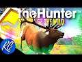 It's Been FOREVER Since I've Seen One! GIANT Diamond Roosevelt Elk | Call of the Wild