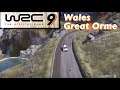 【WRC 9】Rally  WALES Great Orme Toyota Yaris 【攻略】難関 ウェールズ なぜかアスファルトなのにグラベルのセッティングのほうが速かった