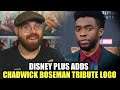 Disney Plus Adds Chadwick Boseman Tribute Logo to Black Panther!!!