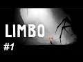 FLAWLESS SPOOKS! Let's play: Limbo #1