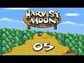 Let's Play - Harvest Moon #Part 05 - Farmalltag!