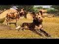 Planet Zoo (PC)(English) #64 6 Minutes of African Wild Dog