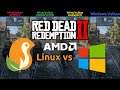[AMD] Red Dead Redemption 2 Benchmark - Wine vs Windows