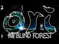 Moon Grotto | Ori and the Blind Forest | Blind Let's Play | Part 2 | VOD