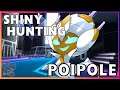 Poipole Shiny Hunting in Ultra Sun! | Shiny Charm SR Odds | Day 4 | LIVE