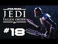 Star Wars: Jedi Fallen Order #18 - Alte Gegner, neue Umgebung - Playthrough (PC-Version)