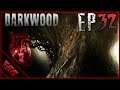 The HEART of The Talking Tree! | Darkwood - Ep32
