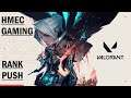 Valorant live stream