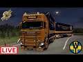 Friday night rigid hauling in Ukraine | Euro Truck Simulator 2