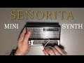 I played Señorita on a Stylophone