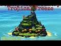 Die 2. Welt Let's Play Donkey Kong Country Tropical Freeze 100% Part:03