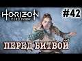 Прохождение Horizon Zero Dawn #42 ● ПЕРЕД БИТВОЙ ● PS4 Pro