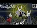 Hollow Knight #45 ALTER WAS IST HIER PASIERT!?
