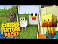 Most CURSED Minecraft Texture Pack