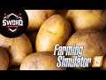 Yeni DLC Patates  I  Farming Simulator 19 2021  #14