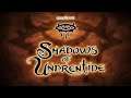 NWN:EE Shadows of Undrentide #1 A Begining