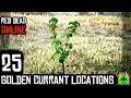 Red Dead Redemption 2 Online - GOLDEN CURRANT LOCATIONS