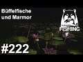 Großmäuliger Büffelfisch mit guter Frequenz Achtuba 🎣🐋 | Russian Fishing 4 #222 | Deutsch | UwF
