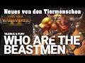 Neues von den Tiermschen - SIlence & Fury DLC Total War: Warhammer 2 deutsch