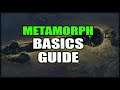 PATH of EXILE: Metamorph Basic Mechanics Guide - How to Not Pickup One Million Organs Needlessly
