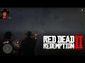 Red Dead Redemption 2 Let's Play #048 Riesenkrokodil im Sumpf! [Facecam]
