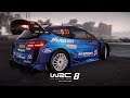 WRC 8 FIA World Rally Championship: Volkswagen Polo R WRC