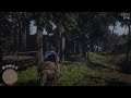 4K RDR2 Online WTF Moment Train Enters The Forest