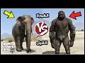 غورلا ضد فيل 🔥 - قراند 5 - | GTA V Elephant Vs Gorilla Mod