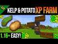 Minecraft EASY XP Farm Tutorial (Kelp & Potato) JAVA & BEDROCK 1.16+