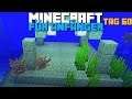 Wie findet man einen Unterwassertempel in Minecraft | Minecraft für Anfänger Tag 60