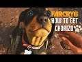 Far Cry 6: How To Get Chorizo ! (Cute Amigo)