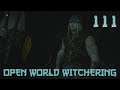 [111]Open World Witchering (Let's Play The Witcher 3) Back to Finish Morkvarg