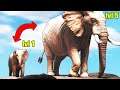 Baby Elephant Watches LION PACK ATTACK RHINO! | Animalia Animal Simulator
