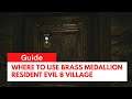 Where to use Brass Medallion