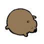 Stuffed Wombat