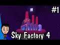 Skyfactory 4 Ep 1 - The Wood Age w/Megan