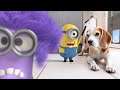 ⭐💜Best Of The Minions In Real Life Compilation 💜⭐ Must Watch Amazing Video !