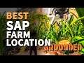 Best Sap Farm Spot Grounded Sap Location