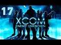XCOM - Ep 17 - Atrapando aliens vivos