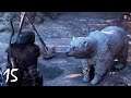 Assassin's Creed Valhalla - Part 15 - The Mysterious Berserker
