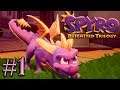 DREAM DRAGON DADDY, DRAGONES BOHEMIOS | [Spyro The Dragon] Spyro Reignited Trilogy #1