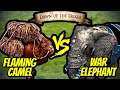 200 Flaming Camels vs 82 Elite War Elephants (Total Resources) | AoE II: Definitive Edition