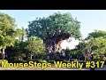 MouseSteps Weekly #317 Skipper Canteen; Disney's Animal Kingdom; Epcot; Halloween Party Changes