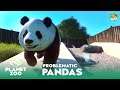 Giant Panda Habitat Preparations - Ruhr Zoo - Planet Zoo Franchise Mode Ep 14