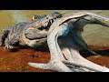 O Poderoso Deinosuchus, Caçando Pteranodons! MAIOR DEINO DO MUNDO (#1) | The Isle Evrima | (PT/BR)