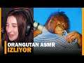 Pqueen - Orangutan ASMR İzliyor !