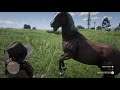 Red Dead Redemption 2 Evil Part 76-A Bit Of Hunting