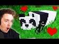 I tamed a PANDA in Minecraft (part 9)